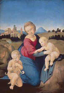 Die Esterhazy Madonna, ca. 1507-08